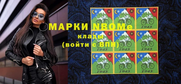 mdpv Бородино