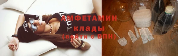 mdpv Бородино