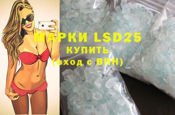 mdpv Бородино